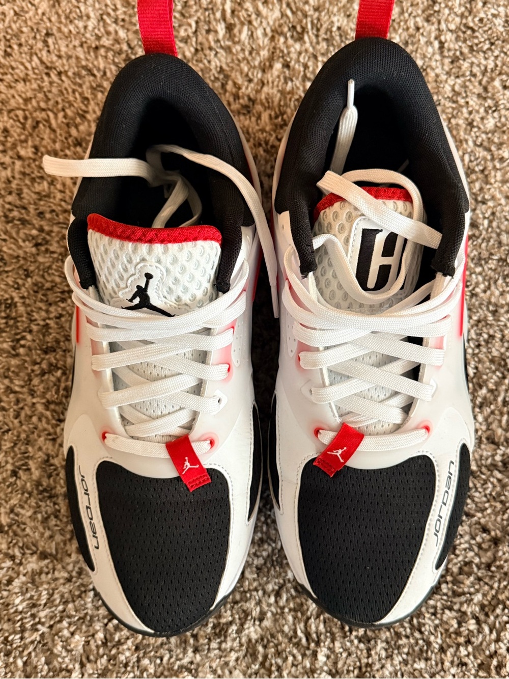Nike Jordan Air Series Bloodline basketball shoes
